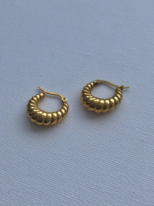 DIMA Earrings