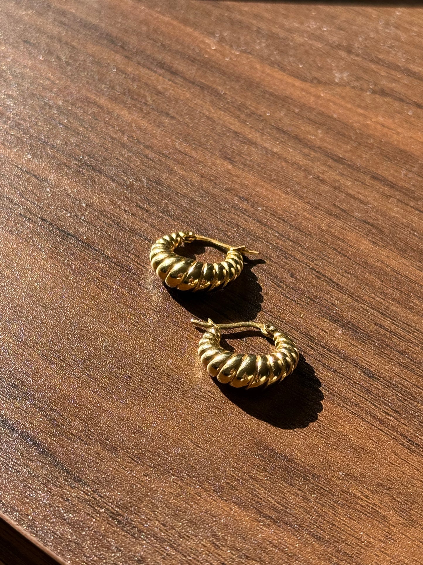 DIMA Earrings