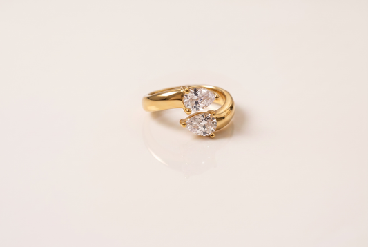 ANISA ring