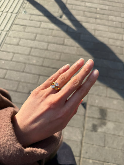 ANISA ring