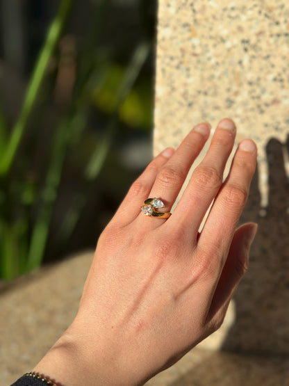 ANISA ring