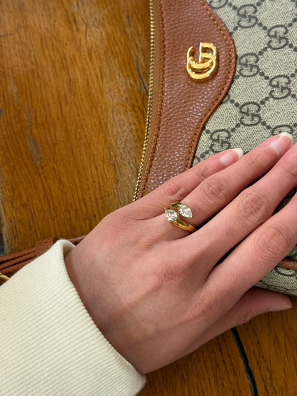 ANISA ring