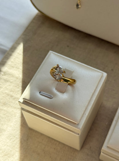 ANISA ring