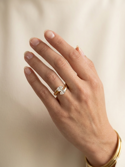 ANISA ring