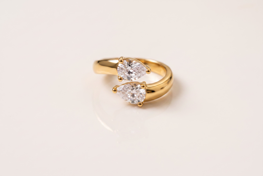 ANISA ring