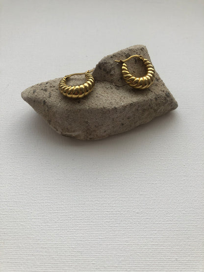 DIMA Earrings