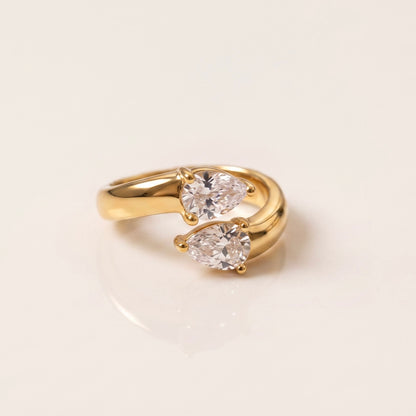 ANISA ring