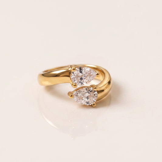 ANISA ring