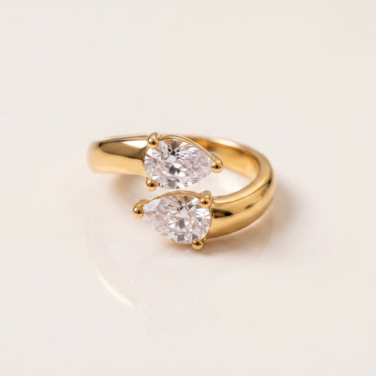 ANISA ring