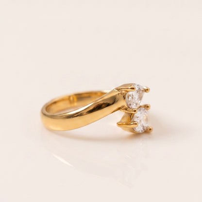 ANISA ring