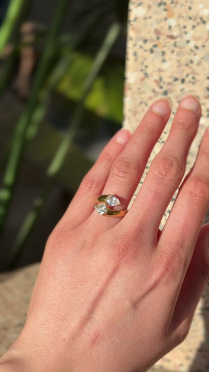 ANISA ring