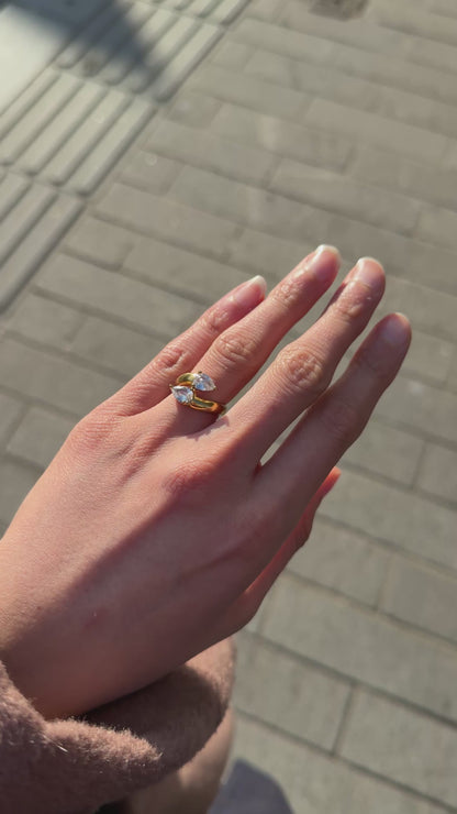 ANISA ring