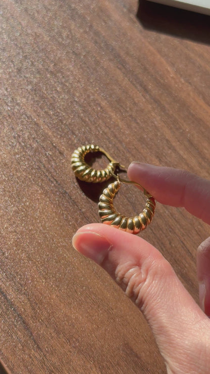 DIMA Earrings
